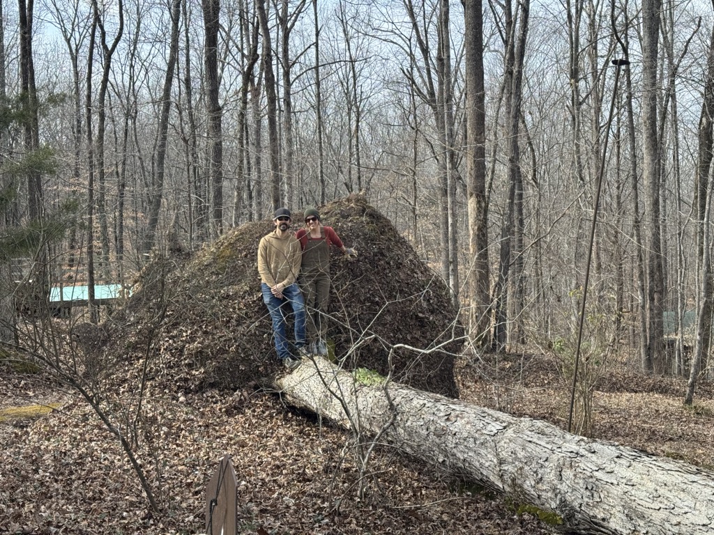 Two people standing on a fallen tree next to the tree rootball