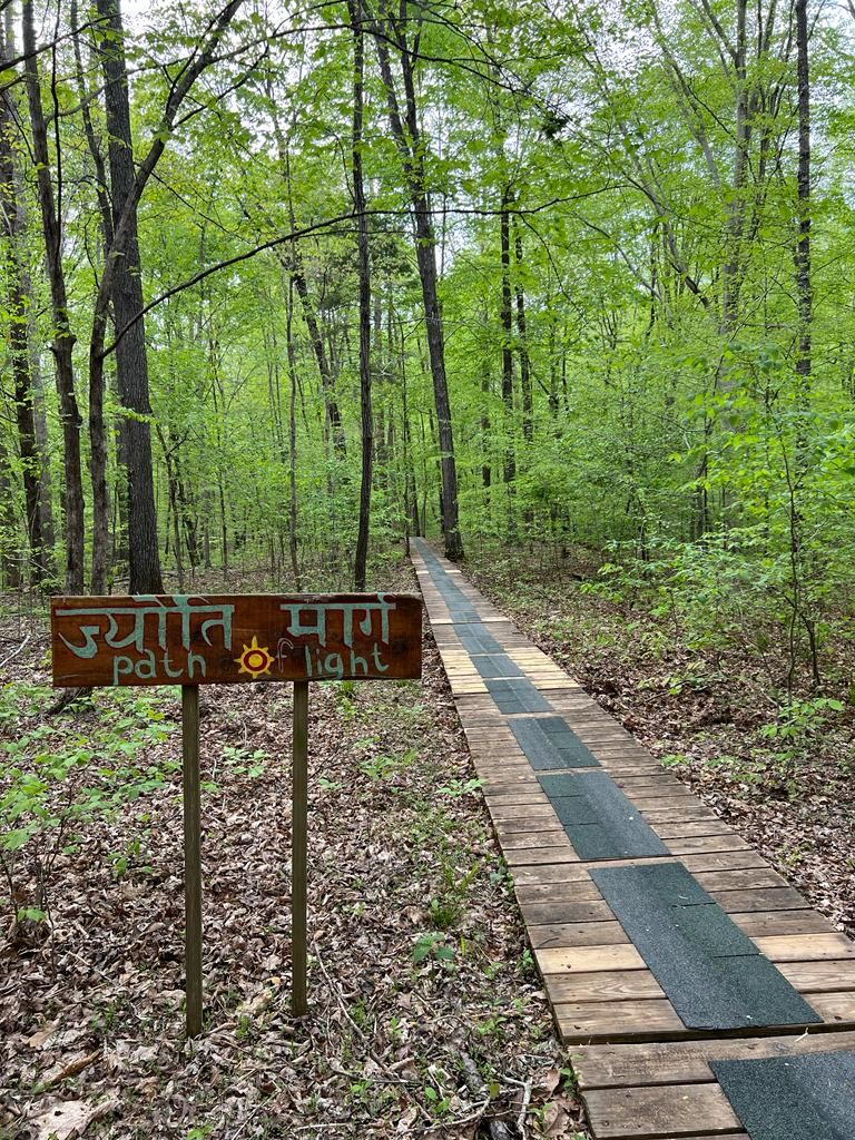 A wood plank path through the woods. A sign on left reads path to light